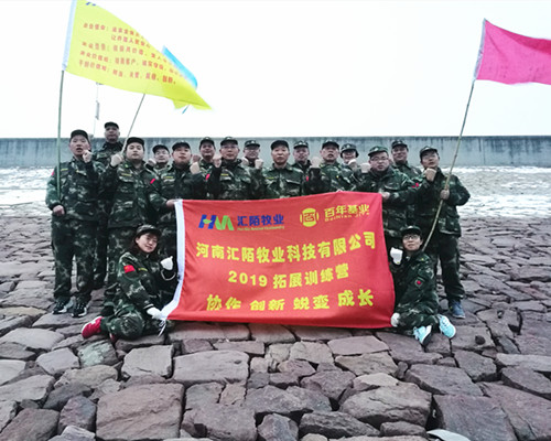 2019协作、创新、蜕变、成长